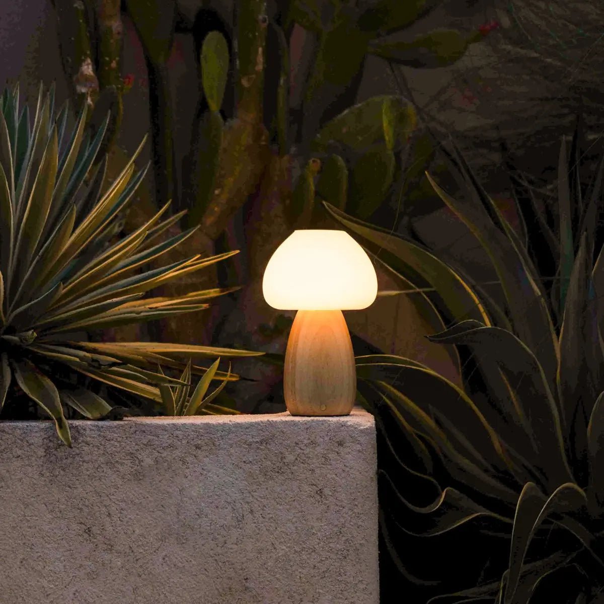 Ours Brown light élégant lampe rechargeable - conception sans fil, dimmable, respectueuse de l'environnement