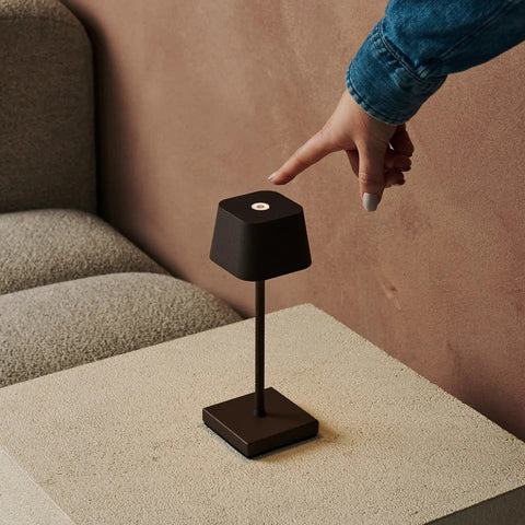 Combi set professionnel - 4 x Sarphati Mini Mocha Brown Brown Rechargeable Table Lampes et 1 X Amstel Wireless Station Wireles