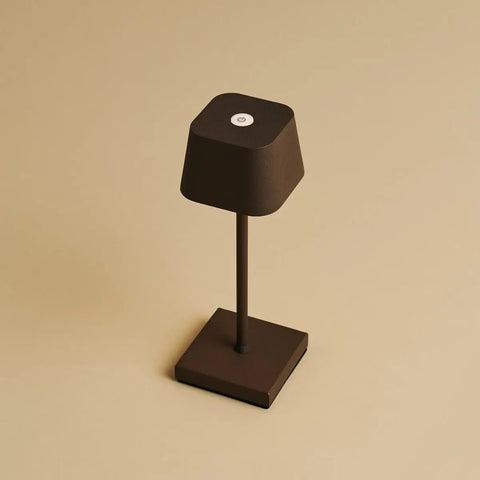 Combi set professionnel - 4 x Sarphati Mini Mocha Brown Brown Rechargeable Table Lampes et 1 X Amstel Wireless Station Wireles