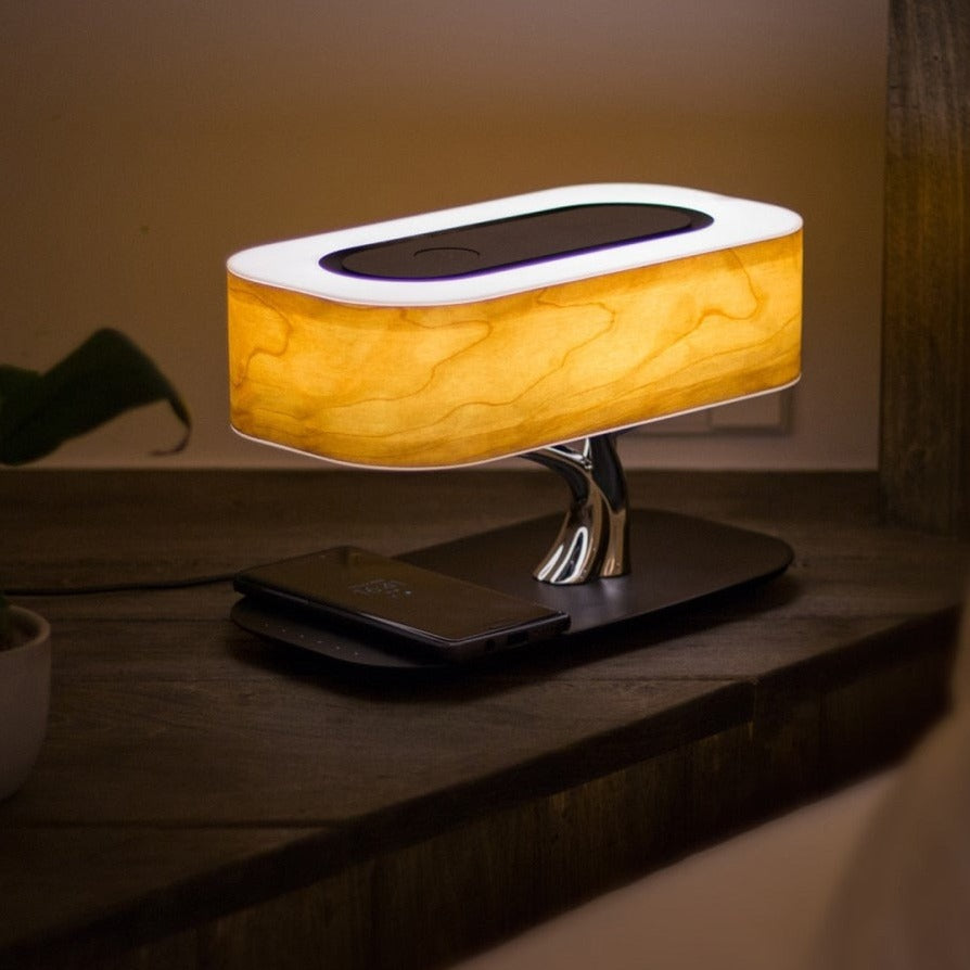 Enceinte Bluetooth Portable Lumineuse Haut-Parleur Bluetooth Lampe de  Chevet LED avec Contrôle Tactile, Lampe de